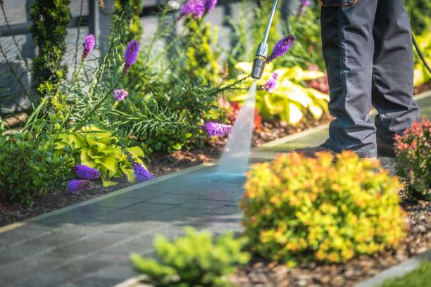 Best Parking Lot and Garage Cleaning  in Apollo, PA